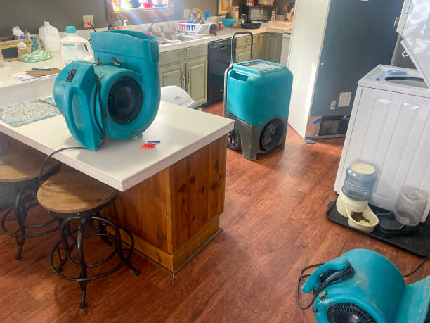 Best Flooded house restoration  in Arcadia, IN