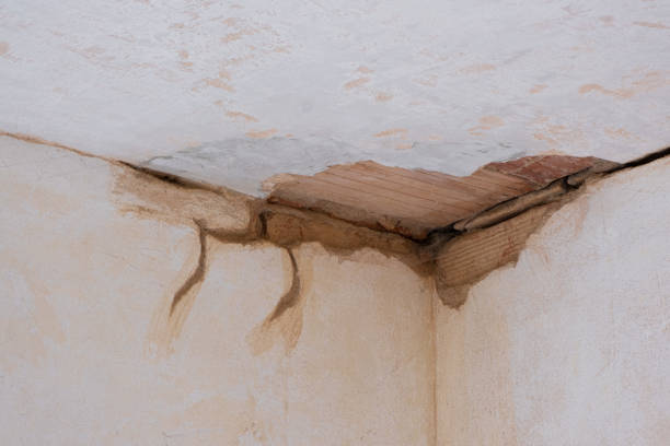 Best 24-hour water damage restoration  in Arcadia, IN