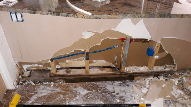 Best Ceiling water damage repair  in Arcadia, IN