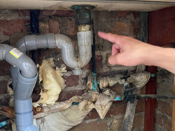 Carpet water damage restoration in IN