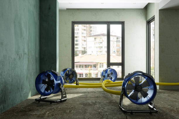 Best 24-hour water damage restoration  in Arcadia, IN